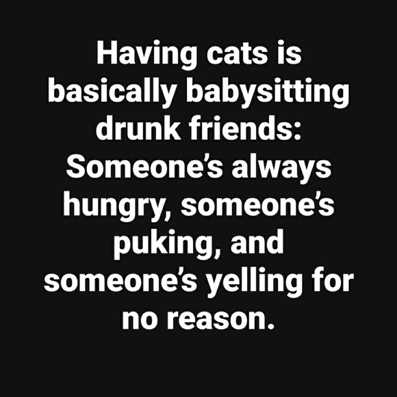 Accessories - Happy Sunday😻